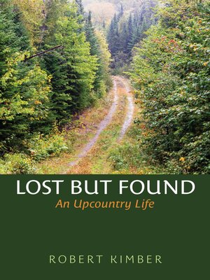 cover image of Lost But Found